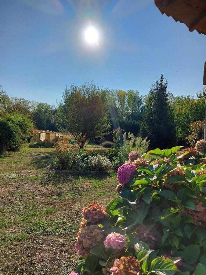 Le Moulin De L'Etang Hotel Chaneins Екстериор снимка