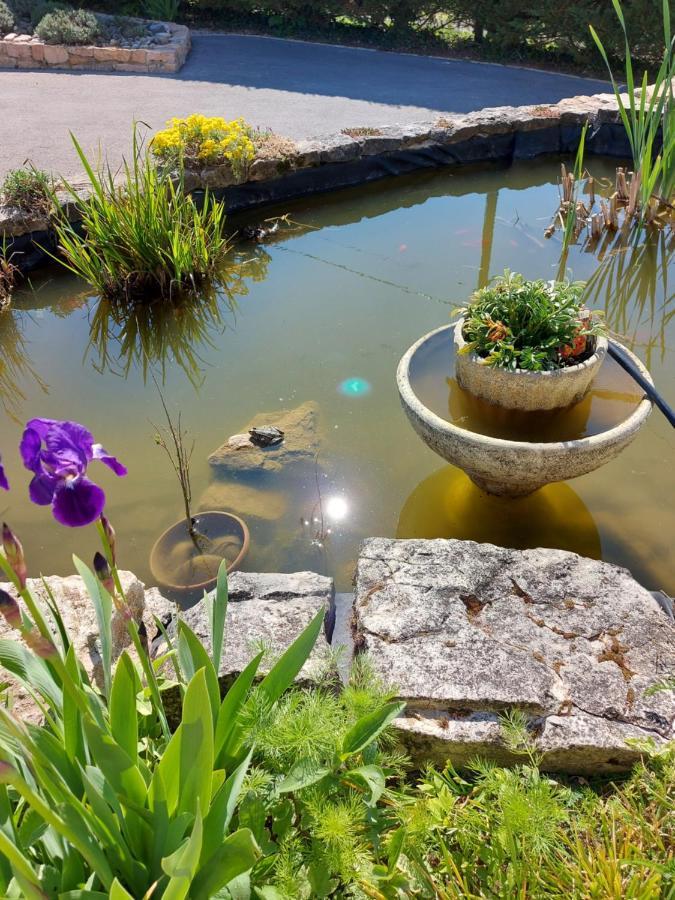 Le Moulin De L'Etang Hotel Chaneins Екстериор снимка