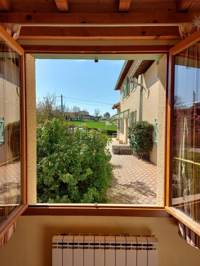 Le Moulin De L'Etang Hotel Chaneins Екстериор снимка