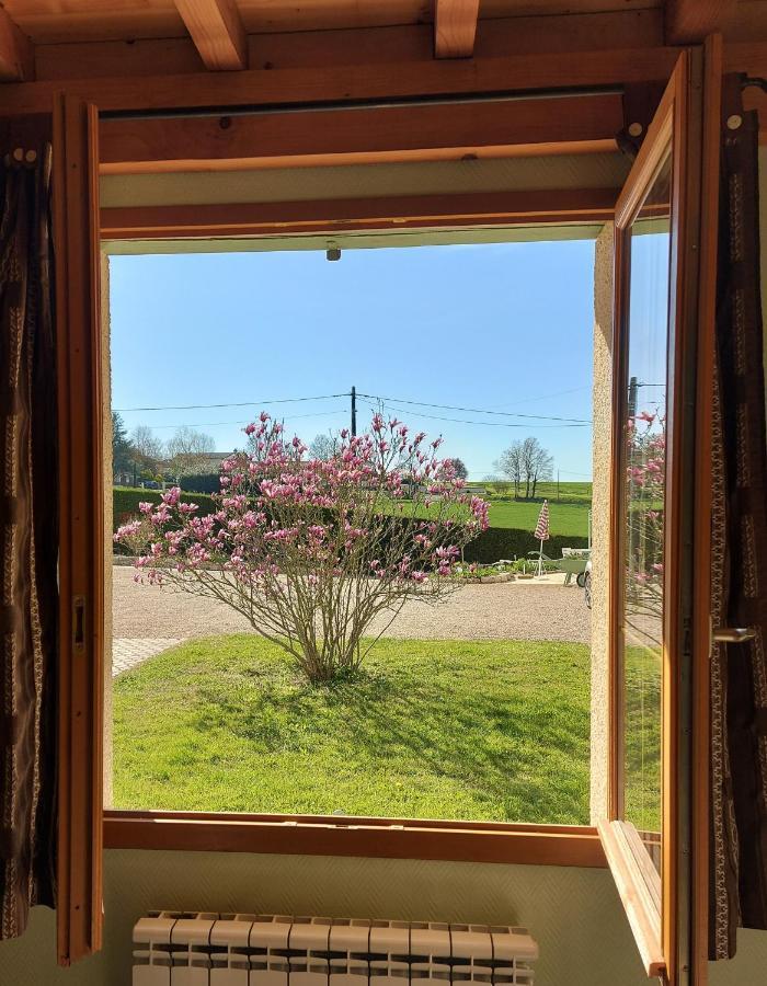 Le Moulin De L'Etang Hotel Chaneins Екстериор снимка