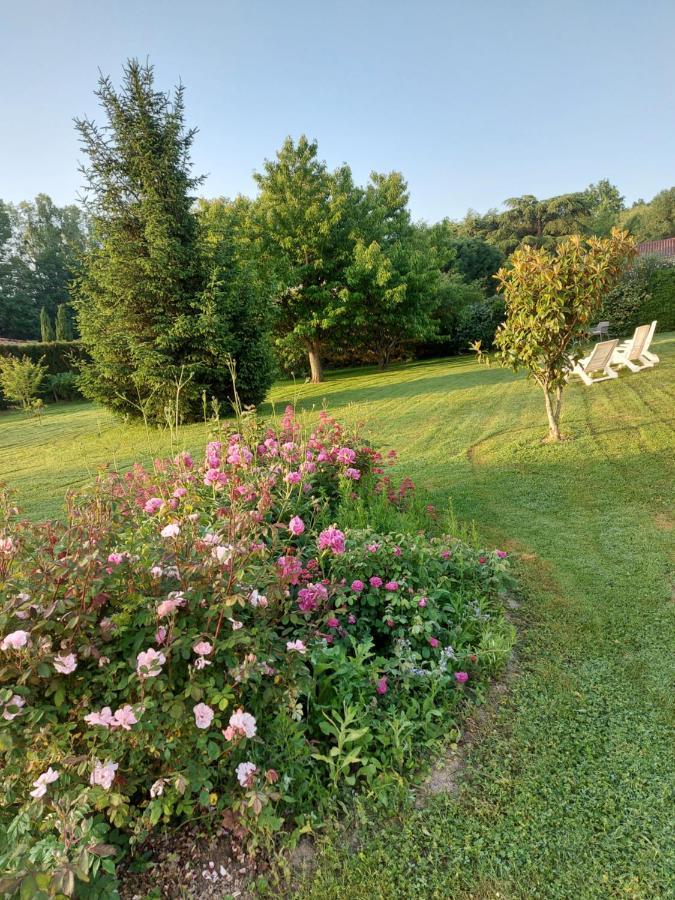 Le Moulin De L'Etang Hotel Chaneins Екстериор снимка