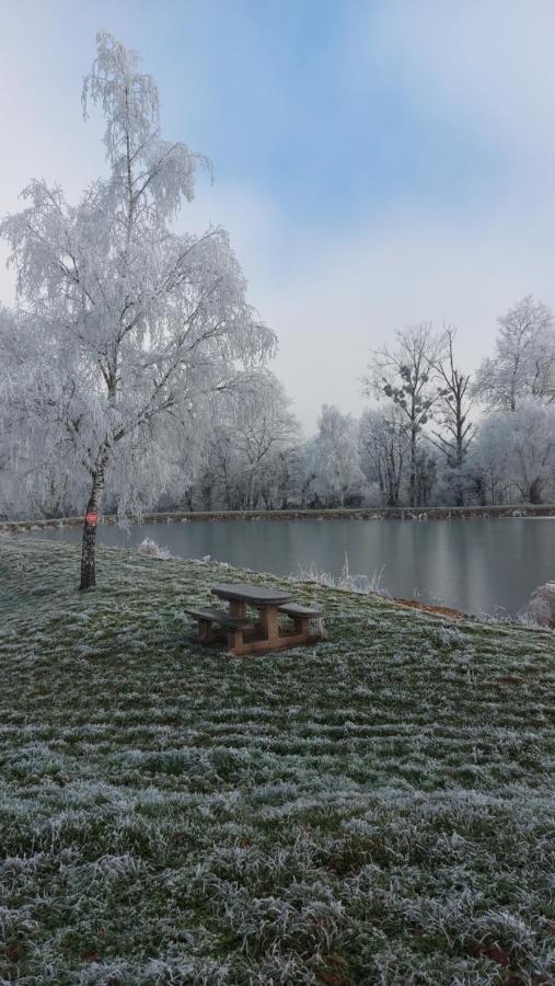 Le Moulin De L'Etang Hotel Chaneins Екстериор снимка